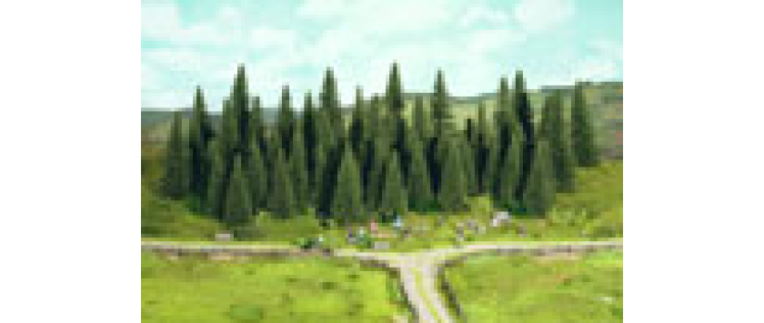 Stecktannen Spur N / Z