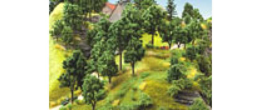 Noch Standard-Baumserie