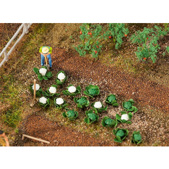 Faller H0 181257 10 Grün - und 10 Blumenkohlköpfe
