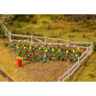 Faller H0 181262 36 Tulpen