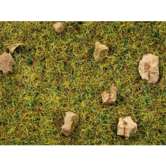 Noch 08360 Streugras Steinige Bergwiese 2,5 mm