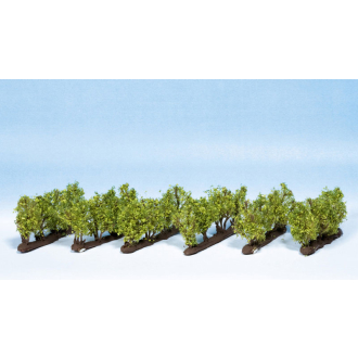 Noch H0 TT 21540 Weinreben