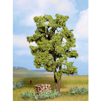 Noch H0 21660 Akazie