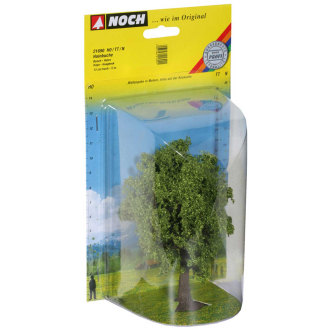 Noch H0 21690 Hainbuche