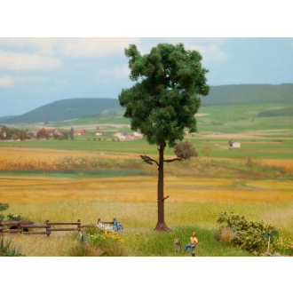 Noch H0 21914 Kiefer, 15 cm hoch