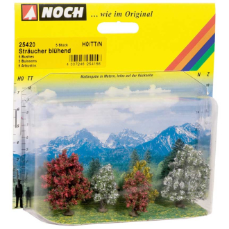 Noch 25420 Stäucher blühend, 5 Stück
