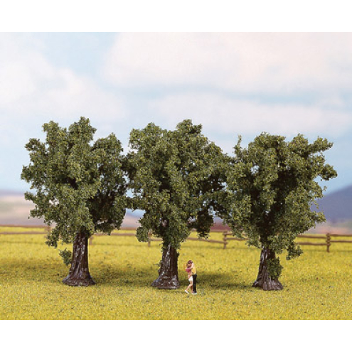 Noch 25150 Bergahorne