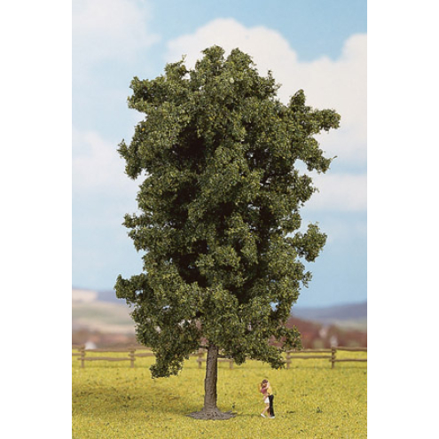 Noch 25895 Rosskastanie