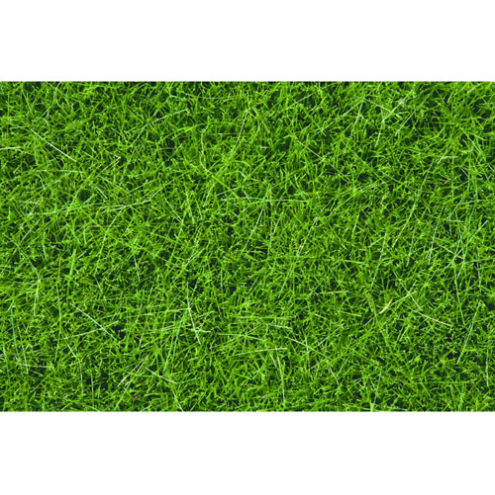 Noch 07094 Wildgras dunkelgrün, 6 mm Dosen-Verpackung