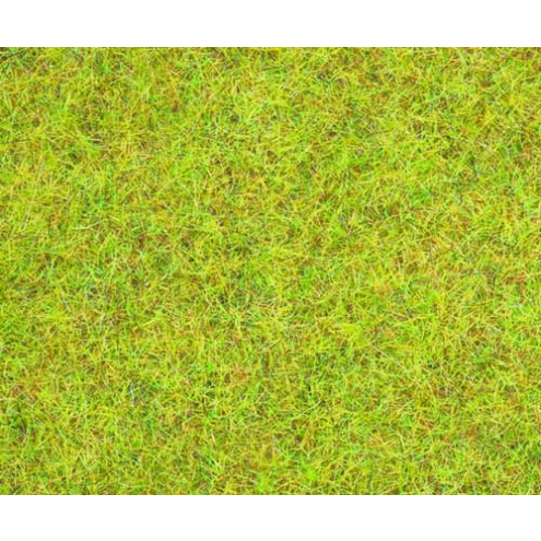 Noch 08151 Streugras Sommerwiese Dosen-Verpackung