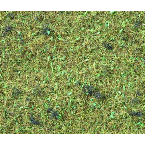 Noch 08157 Streugras Waldboden Dosen-Verpackung