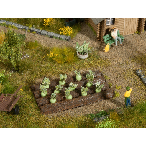 NOCH H0 13220 Cabbage Turnips 3 x 6 cm, 12 Pflanzen