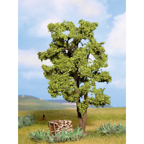 Noch H0 21660 Akazie