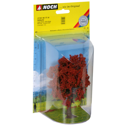 Noch H0 21730 Rotbuche