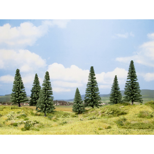 Noch H0 TT N 25007 Tannen 8-14cm 7st.